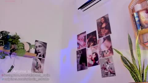 o ANTO online show from 03-11-26, 06:36