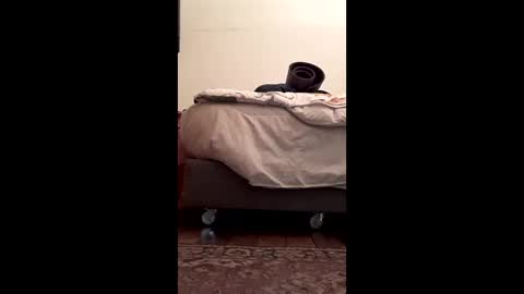 antonino85 online show from 02-10-26, 05:17