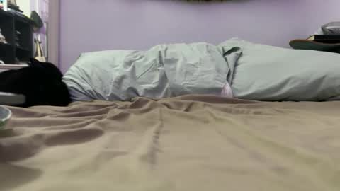 cowboy online show from 12-04-25, 09:29