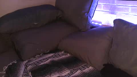 Shy Happy Pair online show from 09-25-25, 07:56