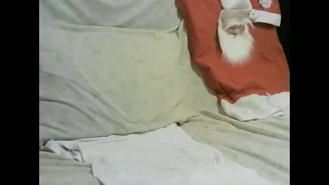 arabtrans2025 online show from 01-17-25, 07:27