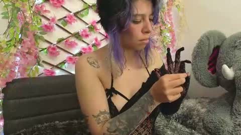 Snapshot of aria_silk chatting on 06-26-26, 07:51 aria_silk online show from 06-26-26, 07:51