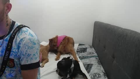 Snapshot of ariana_esteban07 chatting on 02-06-26, 10:29 ariana_esteban07 online show from 02-06-26, 10:29