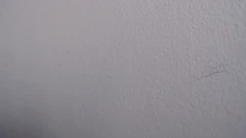 Snapshot of ariannaloovel chatting on 06-13-26, 05:22 ariannaloovel online show from 06-13-26, 05:22