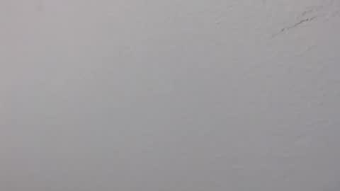 Snapshot of ariannaloovel chatting on 06-14-26, 02:24 ariannaloovel online show from 06-14-26, 02:24