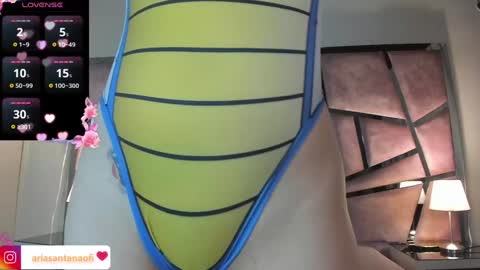 Snapshot of arisantana chatting on 12-28-24, 11:09 Aria online show from 12-28-24, 11:09