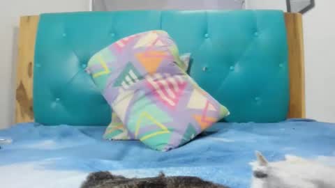 Snapshot of armanidark chatting on 09-15-25, 02:11 armanidark online show from 09-15-25, 02:11