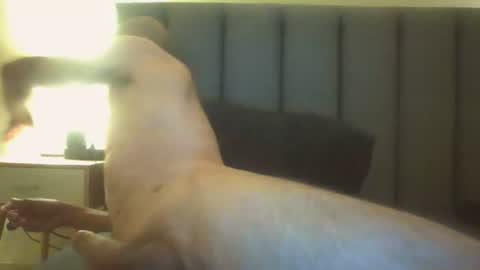 Arnoldmir online show from 07-12-26, 08:22