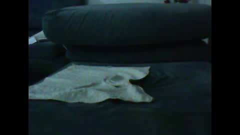 Snapshot of artanm2 chatting on 01-09-25, 06:47 natra online show from 01-09-25, 06:47