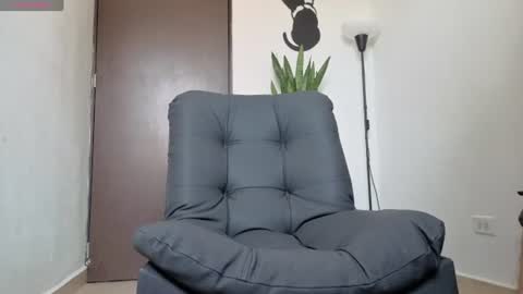 Snapshot of arteemiis chatting on 07-11-26, 01:14 online show from 07-11-26, 01:14