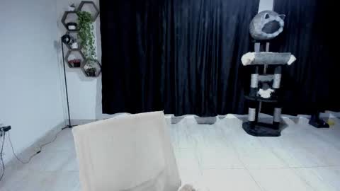 Snapshot of artemis_020 chatting on 09-11-25, 01:06 FENIX online show from 09-11-25, 01:06