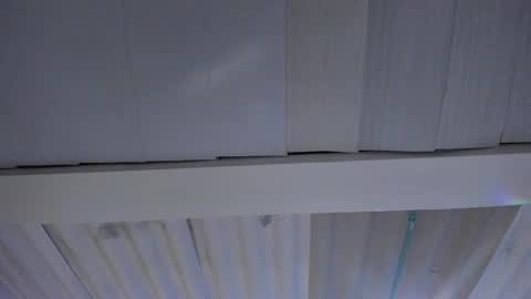 Snapshot of artemis_020 chatting on 11-20-25, 02:45 FENIX online show from 11-20-25, 02:45