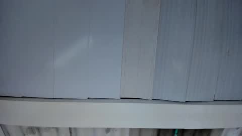 Snapshot of artemis_020 chatting on 11-25-25, 03:06 FENIX online show from 11-25-25, 03:06