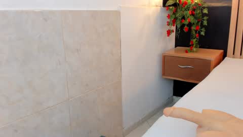 Snapshot of arya_nahalii chatting on 12-29-24, 08:04 Ana online show from 12-29-24, 08:04