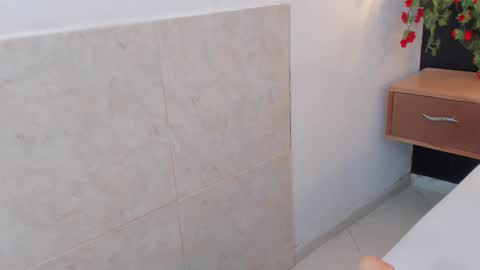 Snapshot of arya_nahalii chatting on 01-24-25, 03:45 Ana online show from 01-24-25, 03:45