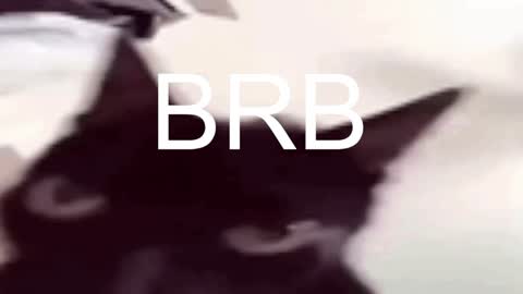 AshleyAshe  online show from 01-17-25, 11:29