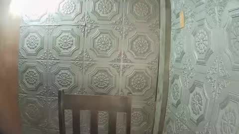 asian_nova online show from 01-12-26, 05:34