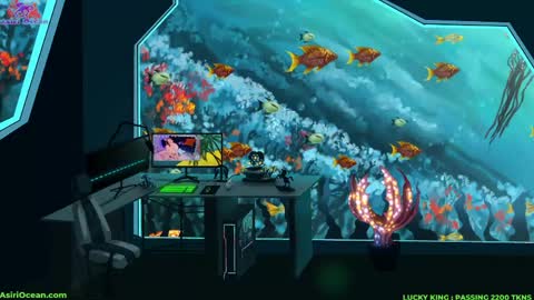 Asiri   pronounced Ah-siri Please no nicknames   3 online show from 03-31-26, 02:17