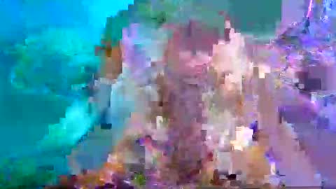 Aspy online show from 01-26-25, 10:46