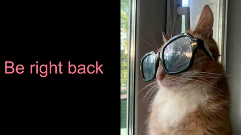 Snapshot of astra_lis chatting on 02-17-25, 10:40 Astra online show from 02-17-25, 10:40