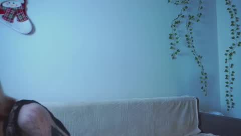 Zara online show from 01-08-26, 07:05