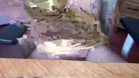 Snapshot of aussielatino82 chatting on 03-05-25, 05:07 Rich online show from 03-05-25, 05:07