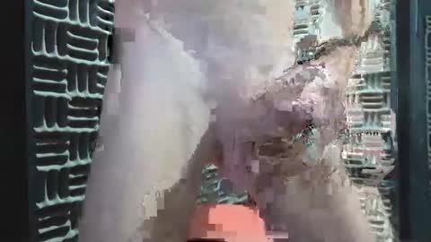 Snapshot of aussieraz chatting on 12-16-24, 08:20 aussieraz online show from 12-16-24, 08:20