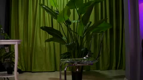 Ava online show from 08-02-26, 07:23