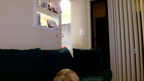 Ava Ashley online show from 06-07-26, 02:48