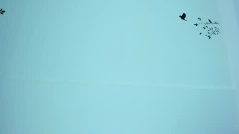 Mariana online show from 03-12-25, 11:12