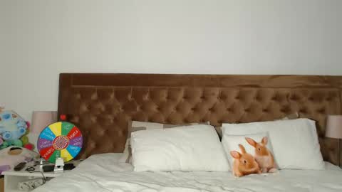 Aylin online show from 12-31-24, 04:16