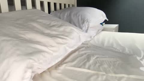 b1gd0ng1111 online show from 09-17-25, 09:44