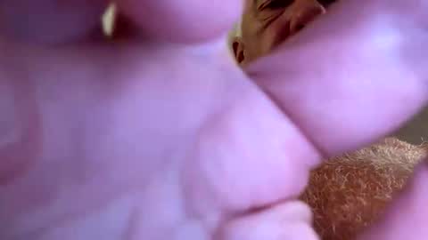 benito online show from 09-28-25, 07:52