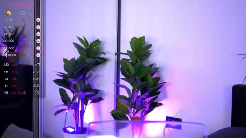 Inna online show from 12-16-25, 04:28