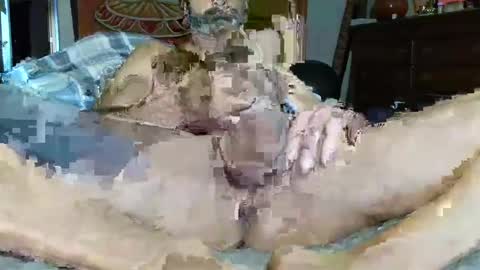 Snapshot of babyblue_1973 chatting on 12-16-24, 03:00 Poindexxxter online show from 12-16-24, 03:00