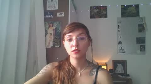 babydemon6 online show from 12-23-24, 05:54