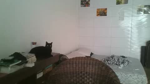 babydemon6 online show from 11-14-25, 06:50