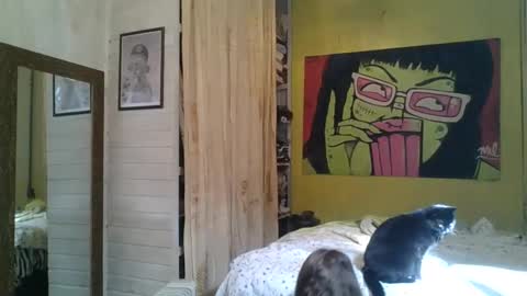 babydemon6 online show from 05-24-26, 01:38