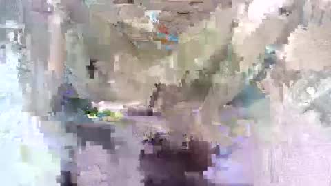 babymom1 online show from 03-07-25, 08:33