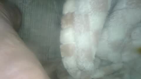 babyxxxangel online show from 12-19-24, 05:40