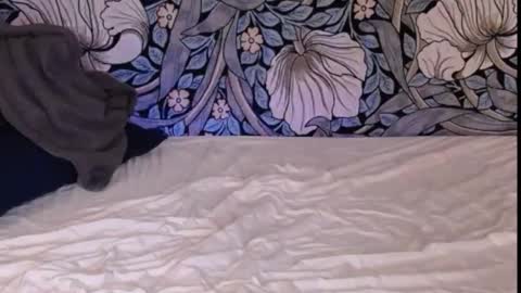 Ava online show from 09-30-25, 01:21