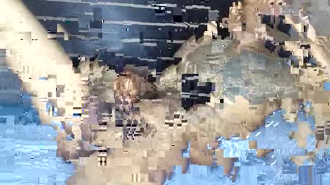 Snapshot of bad_dawgg chatting on 02-03-26, 06:40 rastafaria online show from 02-03-26, 06:40