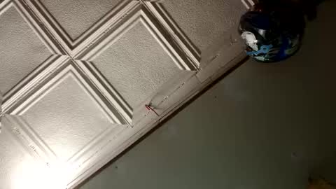 Snapshot of badnews68 chatting on 01-18-25, 10:06 StillPoPimpin online show from 01-18-25, 10:06