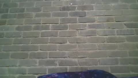 Snapshot of baielekker81578 chatting on 01-19-25, 01:01 Chaterlain online show from 01-19-25, 01:01