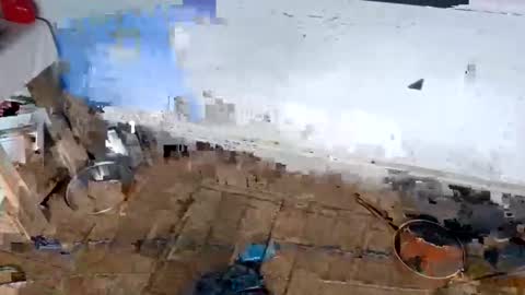 ballshanginglowaf online show from 02-01-26, 12:31