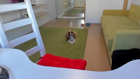 Kira online show from 03-20-26, 12:21