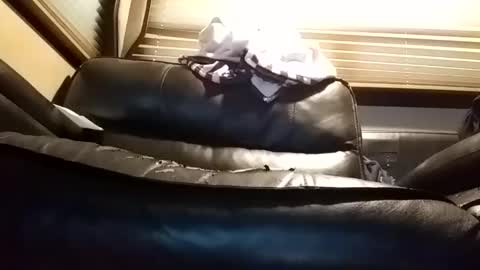 baobabtree8 online show from 01-14-25, 01:06