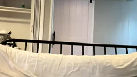 Snapshot of barbiegutzfan3 chatting on 03-02-26, 06:59 Tsbaby301 online show from 03-02-26, 06:59