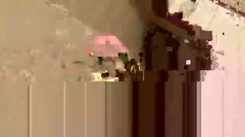 Snapshot of barkley314 chatting on 11-03-25, 02:18 barkley314 online show from 11-03-25, 02:18