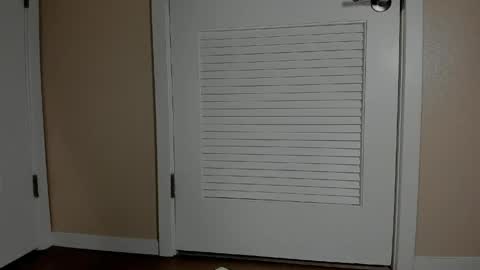 Emi online show from 04-16-26, 09:39